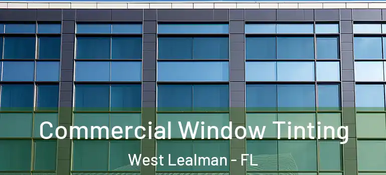 Commercial Window Tinting West Lealman - FL