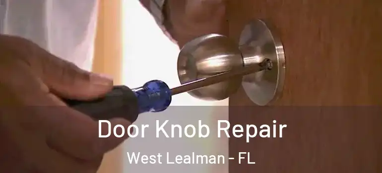 Door Knob Repair West Lealman - FL