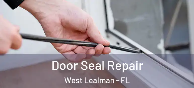 Door Seal Repair West Lealman - FL