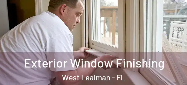 Exterior Window Finishing West Lealman - FL