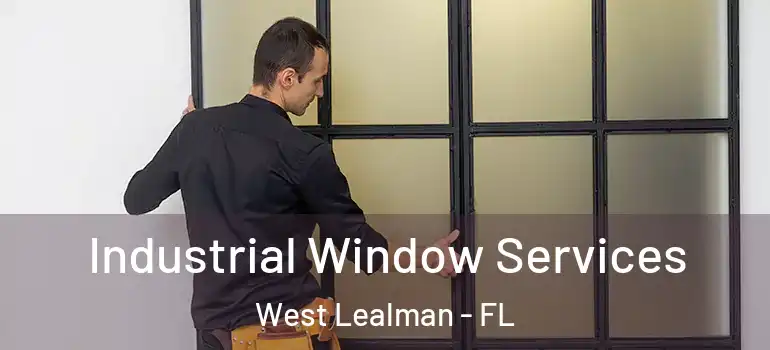 Industrial Window Services West Lealman - FL