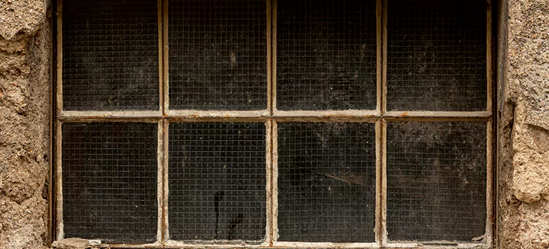 Traditional Double Front Doors in West Lealman, FL