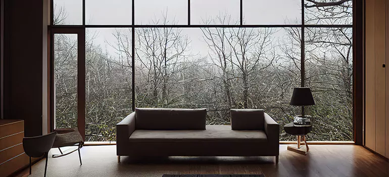 Casement Picture Window in West Lealman, FL