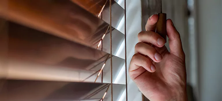 Double Roller Blinds in West Lealman, FL