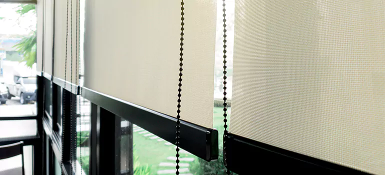 Blackout Window Shades in West Lealman, FL