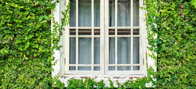 Garden Window Repair Near Me in West Lealman, FL