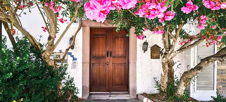 Traditional 4 Panel Internal Doors in West Lealman, FL