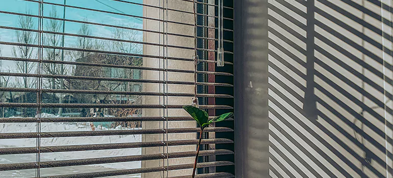 Commercial Window Blinds in West Lealman, FL