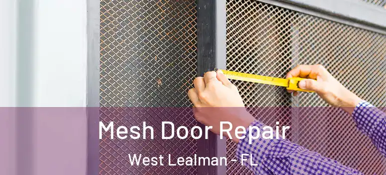 Mesh Door Repair West Lealman - FL