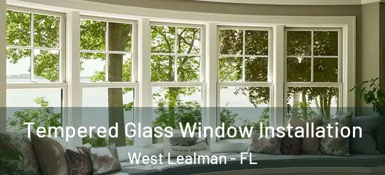Tempered Glass Window Installation West Lealman - FL