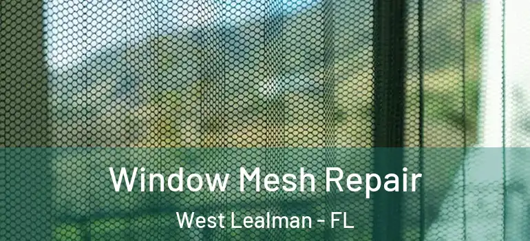Window Mesh Repair West Lealman - FL