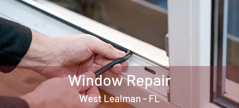 Window Repair West Lealman - FL