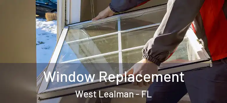 Window Replacement West Lealman - FL