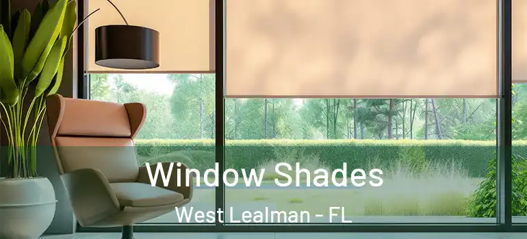 Window Shades West Lealman - FL