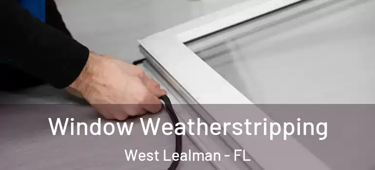 Window Weatherstripping West Lealman - FL